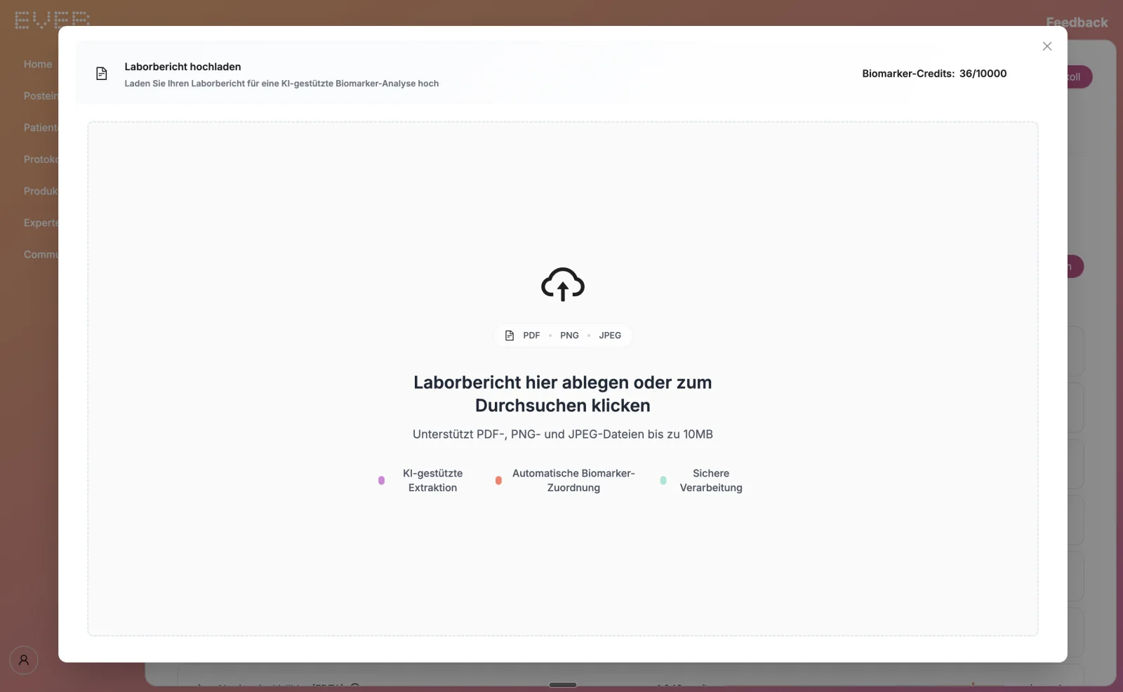 EVER Workspace: Dialog „Laborbericht hochladen“ mit Ablagefeld für PDF, PNG und JPEG und den Hinweisen KI-gestützte Extraktion, automatische Biomarker-Zuordnung, sichere Verarbeitung